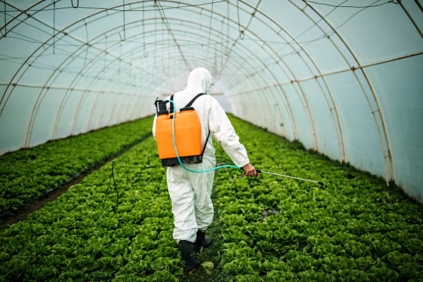 Best Pest Prevention Services  in Bayfield, CO