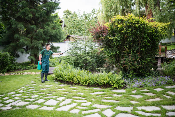 Best Termite Control Services  in Bayfield, CO