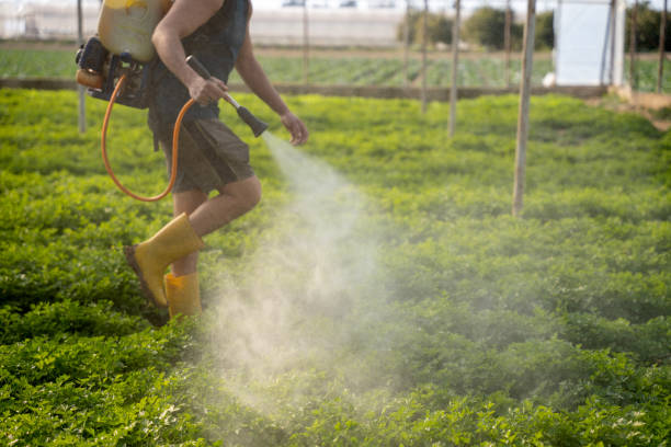 Best Insect Control  in Bayfield, CO