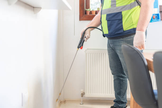 Best Pest Control Near Me  in Bayfield, CO